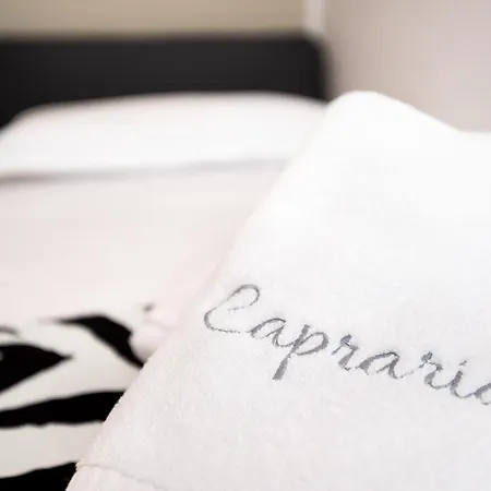 Capraria Appartments In Historic Center, With Private Parking