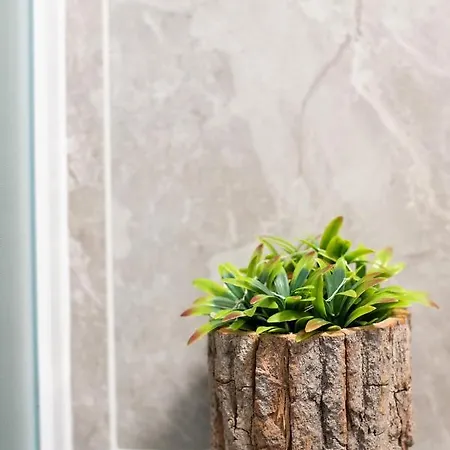 Capraria Appartments In Historic Center, With Private Parking * 코페르