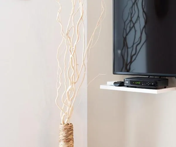 Capraria Appartments In Historic Center, With Private Parking コペル