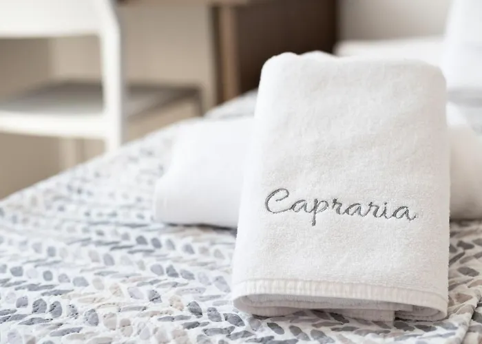 Capraria Appartments In Historic Center, With Private Parking *