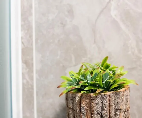 Capraria Appartments In Historic Center, With Private Parking * コペル